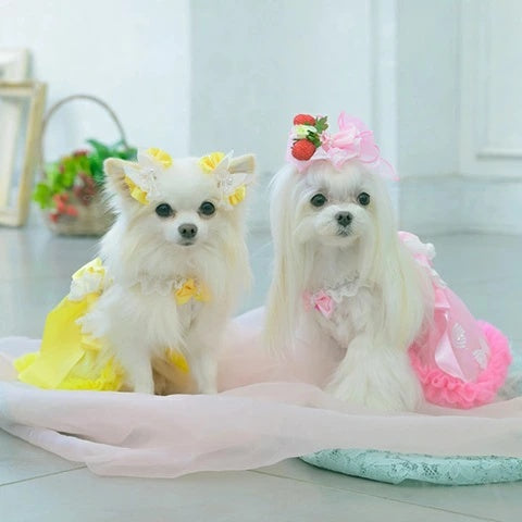 ハンドメイド♡犬服 黄苺の3段フリルキャミワンピース(姉妹お揃いセット） ハンドメイド♡犬服 黄苺の3段フリルキャミワンピース(姉妹お揃い