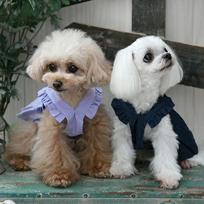 アナ スイ ANNA SUI キャットジャンスカ【小型犬 犬服 ジャンパースカート スカート セレブ】