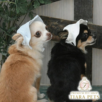 ワンオクターヴ One Octave フリルロゴ刺繍ハット【小型犬 犬用 帽子 ハット セレブ】