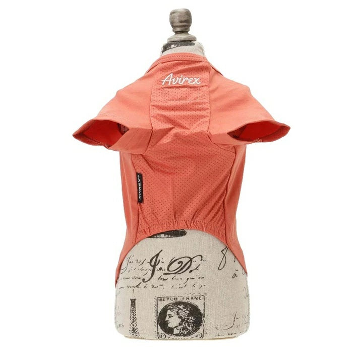 アヴィレックス AVIREX サンディエゴシーライオンT【犬服 ドッグウエア ウエア トップス Tシャツ 半袖 カジュアル】