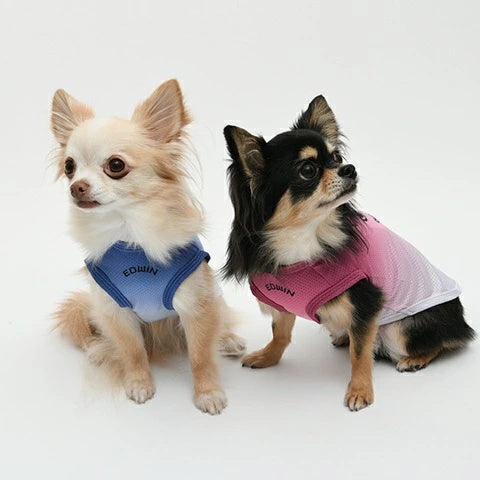 エドウイン EDWIN グラデフェードメッシュタンク【犬服 ドッグウエア ウエア トップス タンクトップ カジュアル】