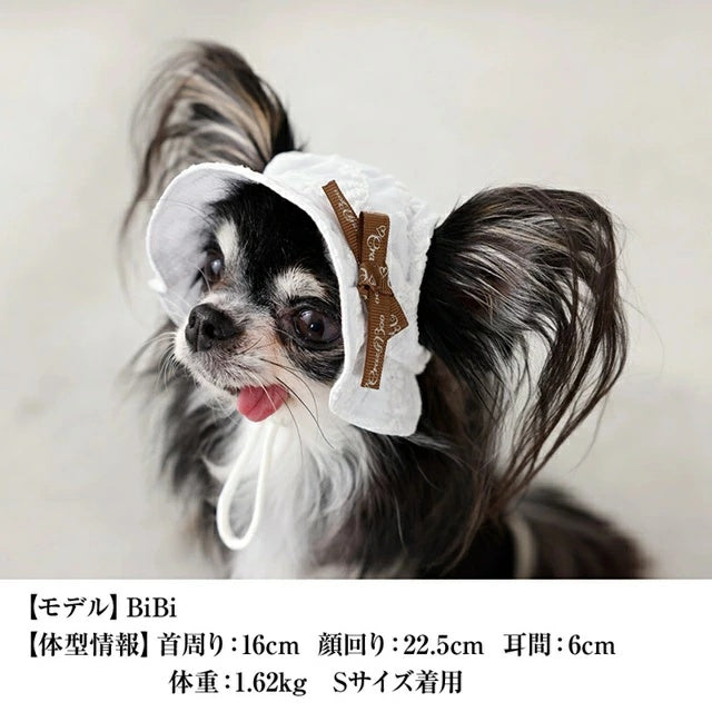 クレイジーブー CRAZYBOO レース生地帽子【犬用 帽子 ハット ひんやり COOL クール セレブ】