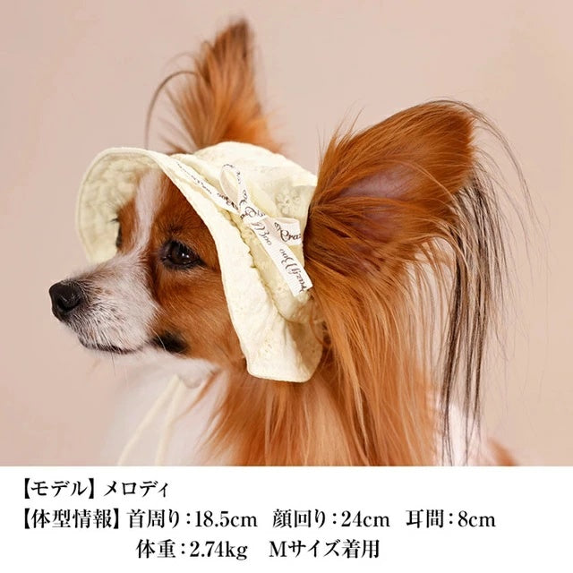 クレイジーブー CRAZYBOO レース生地帽子【犬用 帽子 ハット ひんやり COOL クール セレブ】