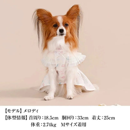 クレイジーブー CRAZYBOO マリン柄ワンピ【犬服 ドッグウエア ウエア ワンピース スカート ドレス セレブ】