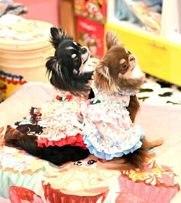 J&Kアニマルズ J&K animals ☆予約受付中☆ リボン ティアードOP【犬服 ドッグウエア ウエア ワンピース ドレス スカート】