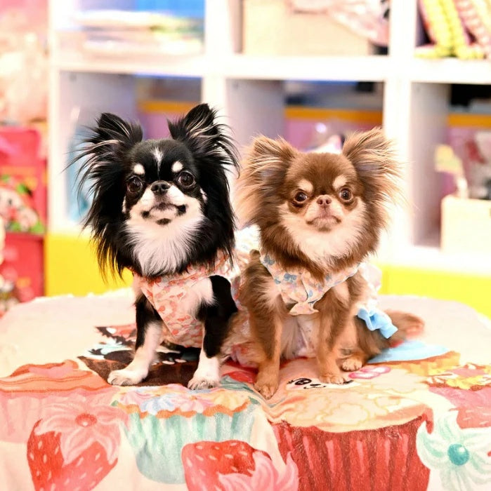 J&Kアニマルズ J&K animals ☆予約受付中☆ リボン ティアードOP【犬服 ドッグウエア ウエア ワンピース ドレス スカート】