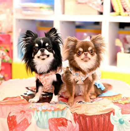J&Kアニマルズ J&K animals ☆予約受付中☆ リボン ティアードOP【犬服 ドッグウエア ウエア ワンピース ドレス スカート】