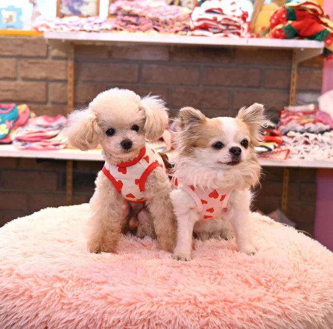 J&Kアニマルズ J&K animals ☆予約受付中☆ くまTシャツ【犬服 ドッグウエア ウエア トップス Tシャツ 半袖】