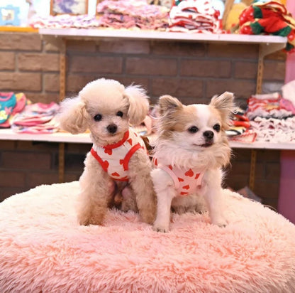 J&Kアニマルズ J&K animals ☆予約受付中☆ くまTシャツ【犬服 ドッグウエア ウエア トップス Tシャツ 半袖】