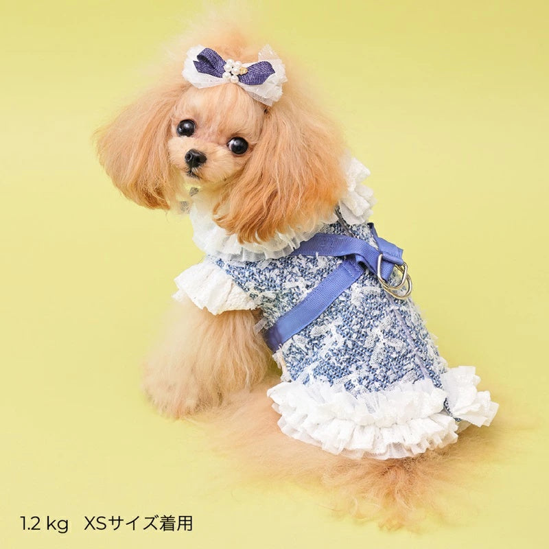 ゴッドピヴァ GODPIVA COOLデニムハーネス【犬用 ハーネス COOL クール セレブ】