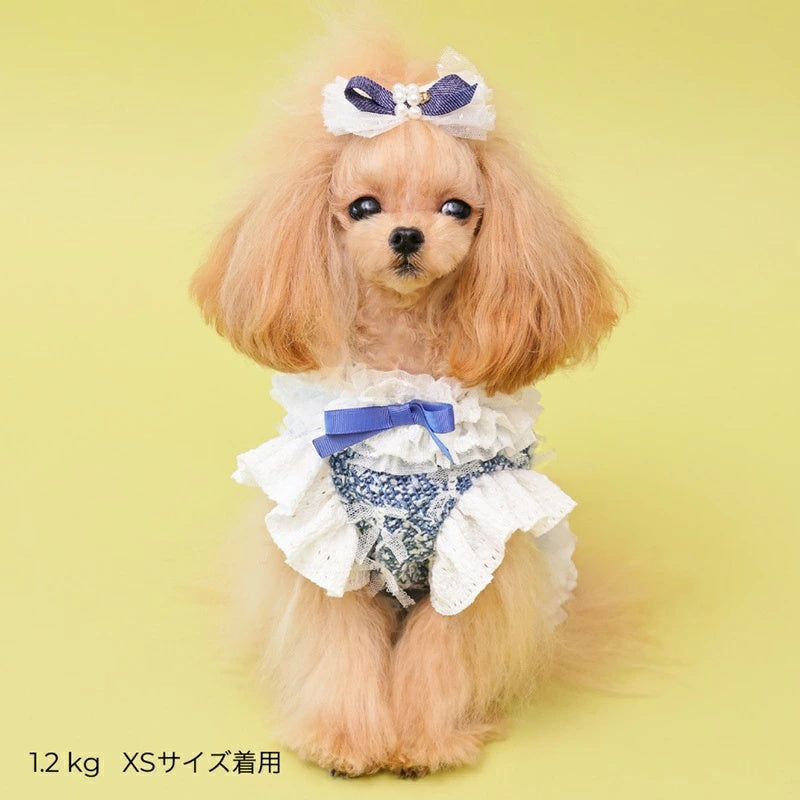ゴッドピヴァ GODPIVA COOLデニムハーネス【犬用 ハーネス COOL クール セレブ】