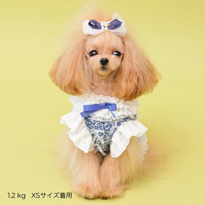 ゴッドピヴァ GODPIVA COOLデニムハーネス【犬用 ハーネス COOL クール セレブ】