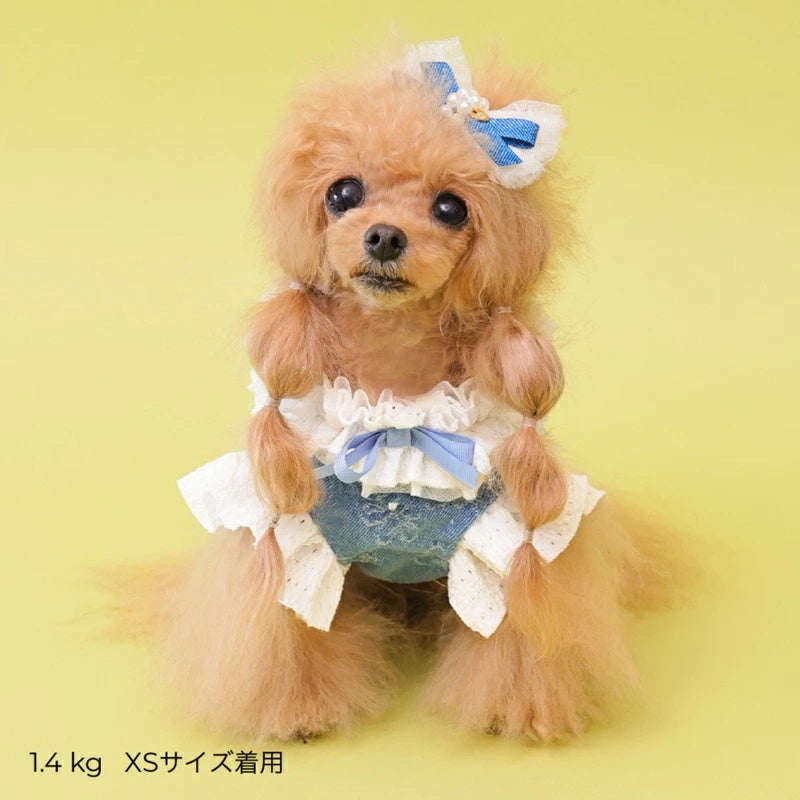 ゴッドピヴァ GODPIVA COOLデニムハーネス【犬用 ハーネス COOL クール セレブ】