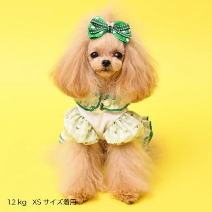 ゴッドピヴァ GODPIVA COOLラビットコラージュワンピース【犬服 ドッグウエア ウエア ワンピース ドレス スカート セレブ】
