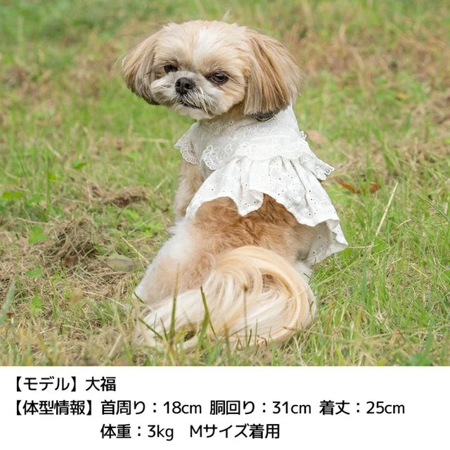 アントゥトゥ Un TouTou ナチュラルレースハーネス【犬用 ハーネス 一体型 お散歩 セレブ】