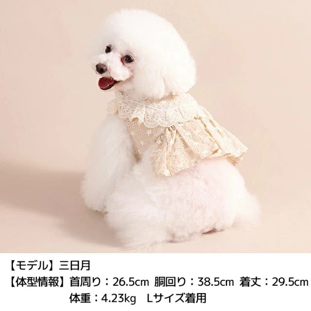 アントゥトゥ Un TouTou ナチュラルレースハーネス【犬用 ハーネス 一体型 お散歩 セレブ】