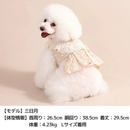 アントゥトゥ Un TouTou ナチュラルレースハーネス【犬用 ハーネス 一体型 お散歩 セレブ】