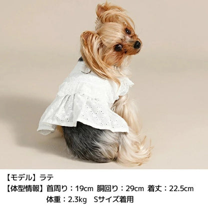 アントゥトゥ Un TouTou ナチュラルレースハーネス【犬用 ハーネス 一体型 お散歩 セレブ】