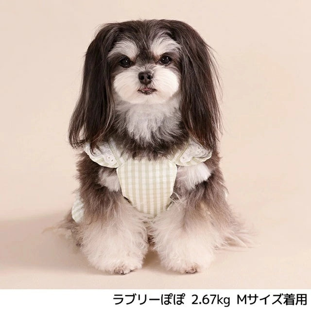アントゥトゥ Un TouTou フリルリボンハーネス【犬用 ハーネス 一体型 お散歩 セレブ】