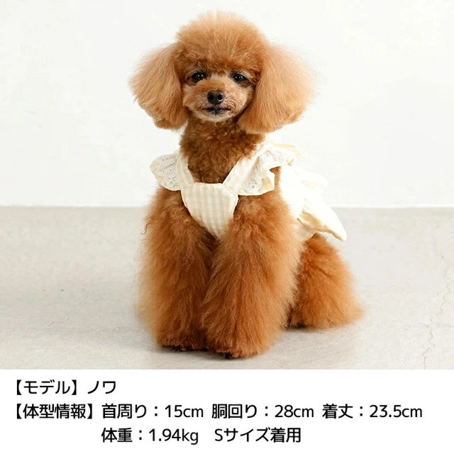 アントゥトゥ Un TouTou フリルリボンハーネス【犬用 ハーネス 一体型 お散歩 セレブ】