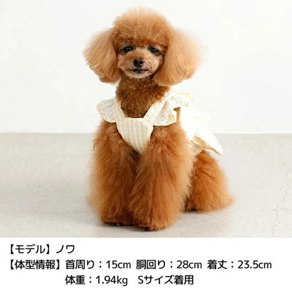 アントゥトゥ Un TouTou フリルリボンハーネス【犬用 ハーネス 一体型 お散歩 セレブ】