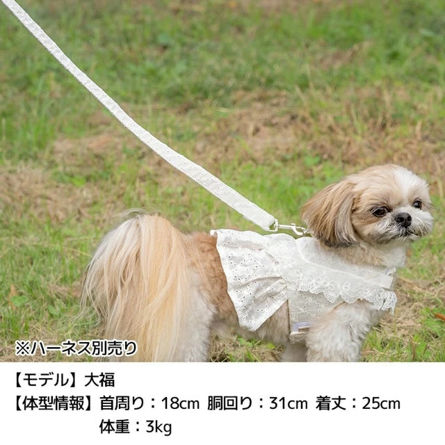アントゥトゥ Un TouTou ナチュラルレースリード【犬用 リード お散歩 セレブ】