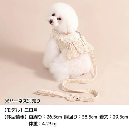 アントゥトゥ Un TouTou ナチュラルレースリード【犬用 リード お散歩 セレブ】