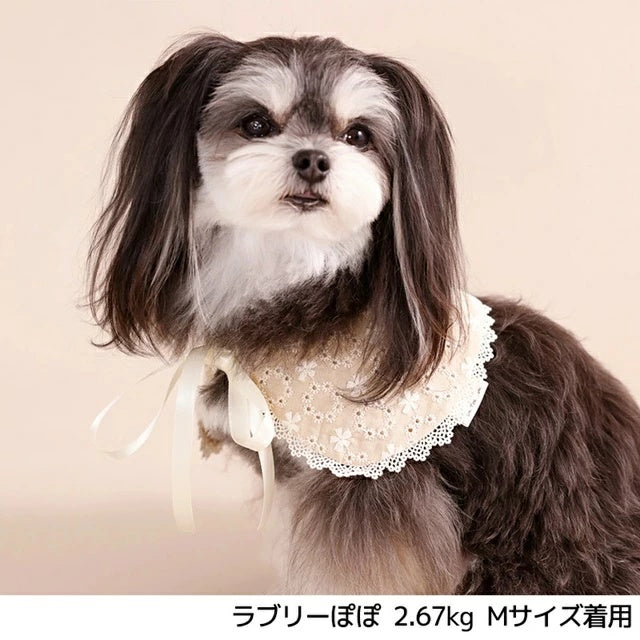 アントゥトゥ Un TouTou ナチュラルレーススタイ【犬用 ドッグウエア ウエア スタイ セレブ】