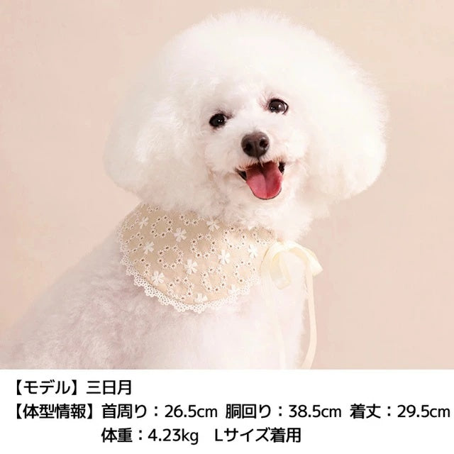 アントゥトゥ Un TouTou ナチュラルレーススタイ【犬用 ドッグウエア ウエア スタイ セレブ】