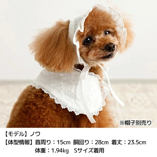 アントゥトゥ Un TouTou ナチュラルレーススタイ【犬用 ドッグウエア ウエア スタイ セレブ】