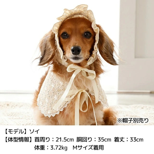 アントゥトゥ Un TouTou ナチュラルレーススタイ【犬用 ドッグウエア ウエア スタイ セレブ】