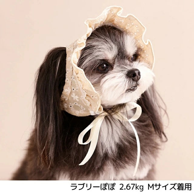 アントゥトゥ Un TouTou ナチュラルレース生地帽子【犬用 ドッグウエア ウエア 帽子 セレブ】