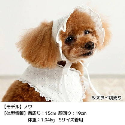 アントゥトゥ Un TouTou ナチュラルレース生地帽子【犬用 ドッグウエア ウエア 帽子 セレブ】