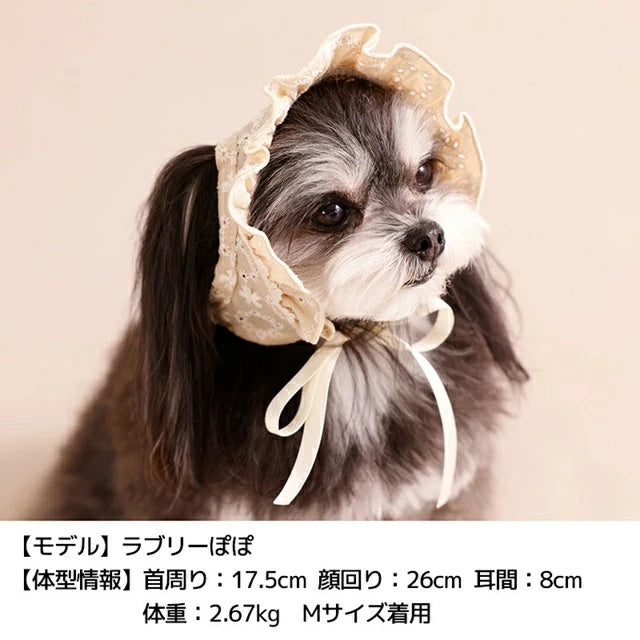 アントゥトゥ Un TouTou ナチュラルレース生地帽子【犬用 ドッグウエア ウエア 帽子 セレブ】