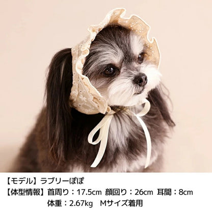 アントゥトゥ Un TouTou ナチュラルレース生地帽子【犬用 ドッグウエア ウエア 帽子 セレブ】