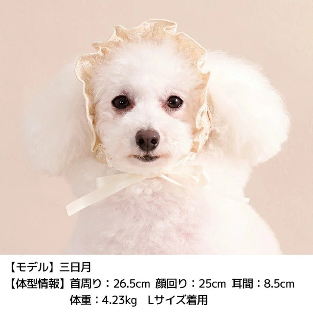 アントゥトゥ Un TouTou ナチュラルレース生地帽子【犬用 ドッグウエア ウエア 帽子 セレブ】