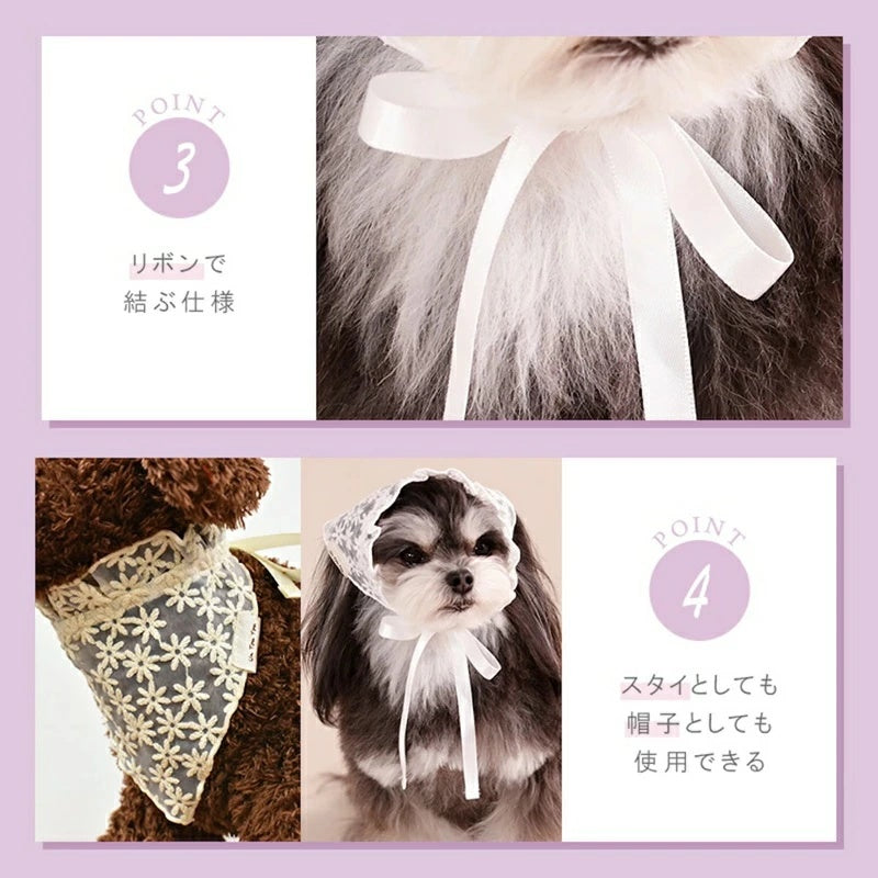 アントゥトゥ Un TouTou レース生地帽子【犬用 ドッグウエア ウエア 帽子 セレブ】