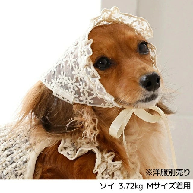 アントゥトゥ Un TouTou レース生地帽子【犬用 ドッグウエア ウエア 帽子 セレブ】