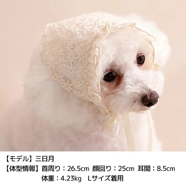 アントゥトゥ Un TouTou レース生地帽子【犬用 ドッグウエア ウエア 帽子 セレブ】