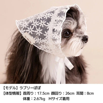 アントゥトゥ Un TouTou レース生地帽子【犬用 ドッグウエア ウエア 帽子 セレブ】