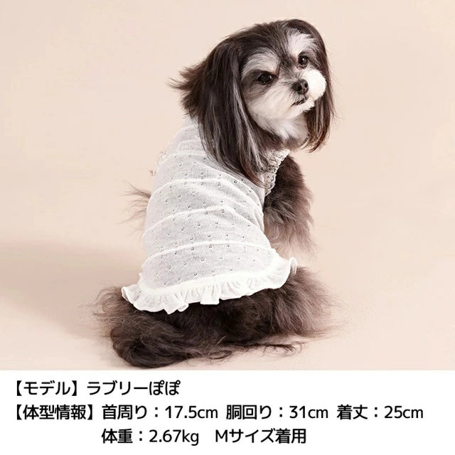 アントゥトゥ Un TouTou 透かし生地レースタンク【犬服 ドッグウエア ウエア トップス タンクトップ ノースリーブ セレブ】