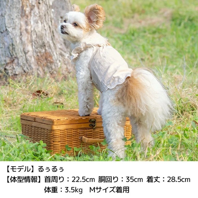 アントゥトゥ Un TouTou 裾刺しゅうキャミソール【犬服 ドッグウエア ウエア トップス キャミソール ノースリーブ セレブ】