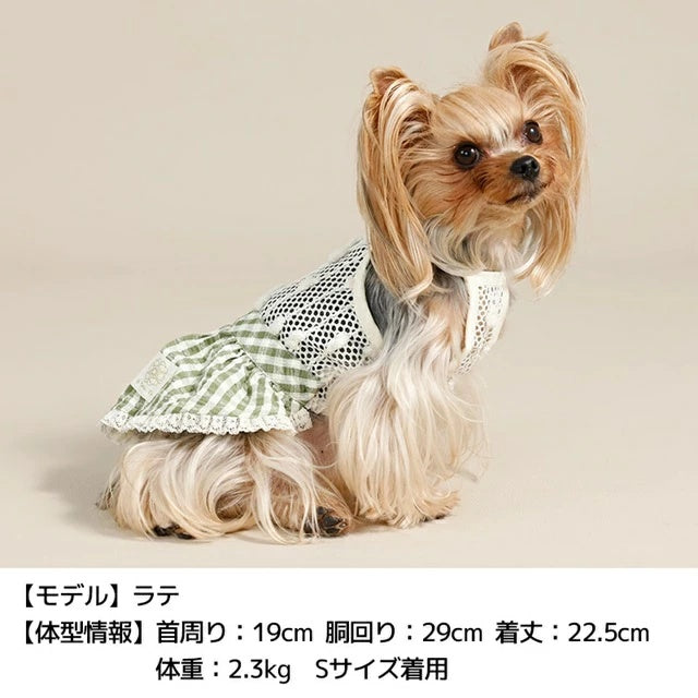 アントゥトゥ Un TouTou ポコポコワンピース【犬服 ドッグウエア ウエア ワンピース スカート ドレス セレブ】
