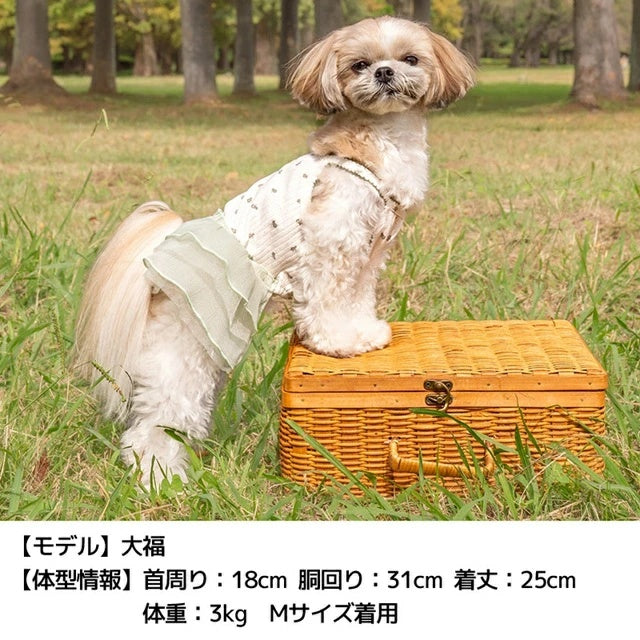 アントゥトゥ Un TouTou 小花柄シフォンワンピ【犬服 ドッグウエア ウエア ワンピース スカート ドレス セレブ】