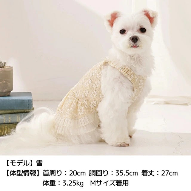 アントゥトゥ Un TouTou エプロン風ワンピ【犬服 ドッグウエア ウエア ワンピース スカート ドレス セレブ】