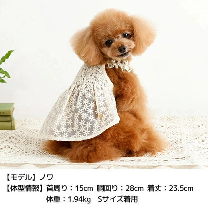 アントゥトゥ Un TouTou 花柄レースワンピ【犬服 ドッグウエア ウエア ワンピース スカート ドレス セレブ】