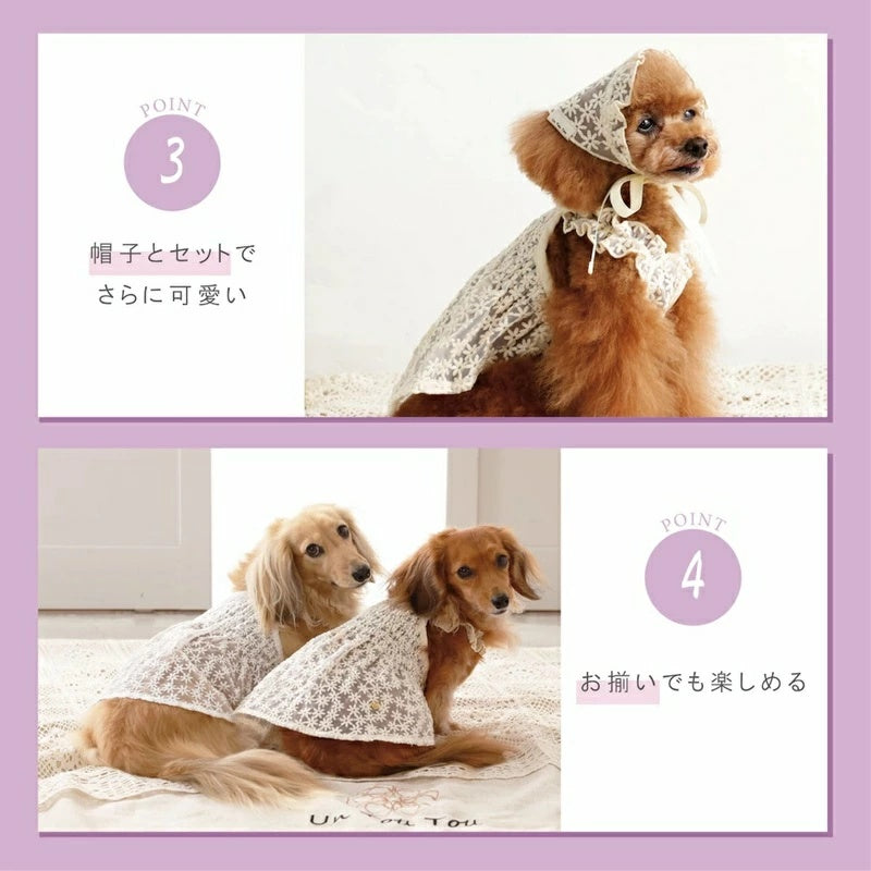 アントゥトゥ Un TouTou 花柄レースワンピ【犬服 ドッグウエア ウエア ワンピース スカート ドレス セレブ】