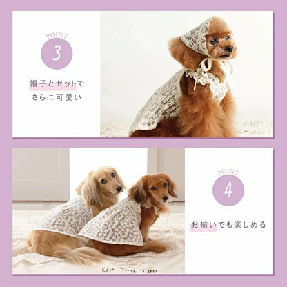 アントゥトゥ Un TouTou 花柄レースワンピ【犬服 ドッグウエア ウエア ワンピース スカート ドレス セレブ】