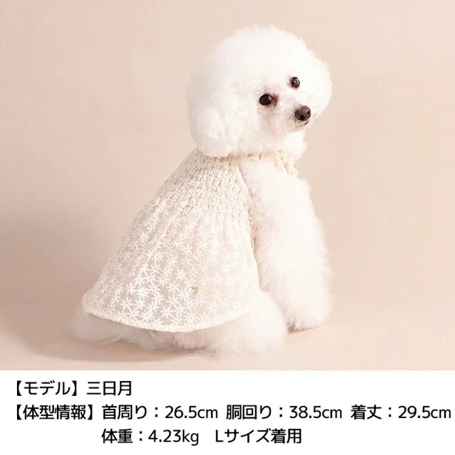 アントゥトゥ Un TouTou 花柄レースワンピ【犬服 ドッグウエア ウエア ワンピース スカート ドレス セレブ】