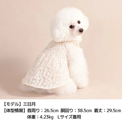 アントゥトゥ Un TouTou 花柄レースワンピ【犬服 ドッグウエア ウエア ワンピース スカート ドレス セレブ】